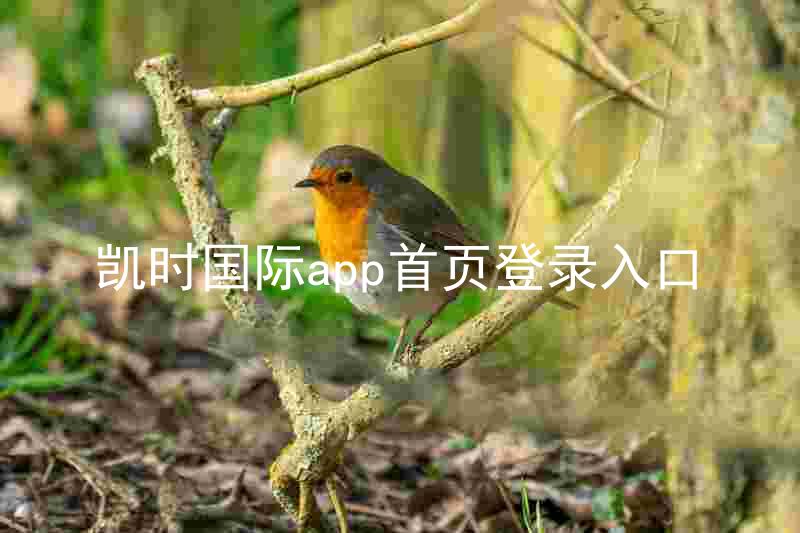 凯时国际app首页登录入口