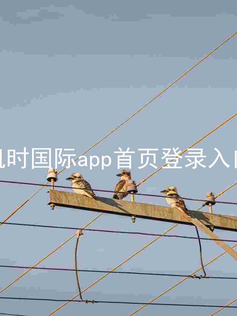 凯时国际app首页登录入口